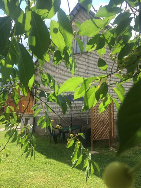 Apartament Pod Wisnia Supraśl Eksteriør bilde